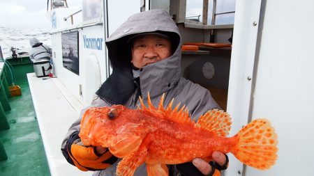 第三むつりょう丸 釣果