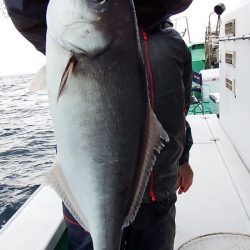 第三むつりょう丸 釣果