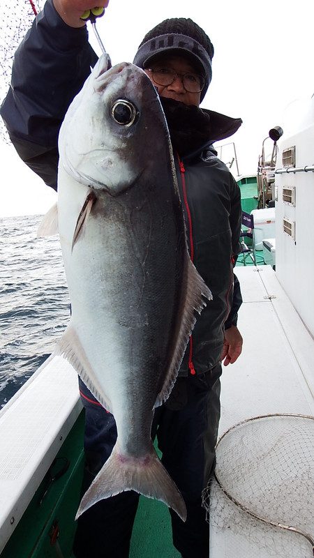 第三むつりょう丸 釣果