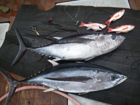 小海途 釣果