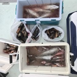 黒潮丸 釣果