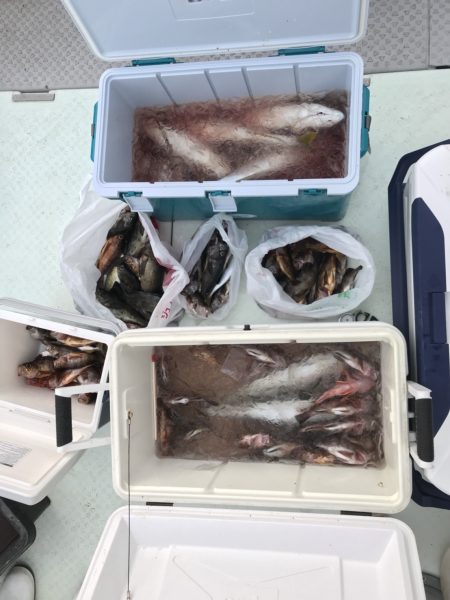 黒潮丸 釣果