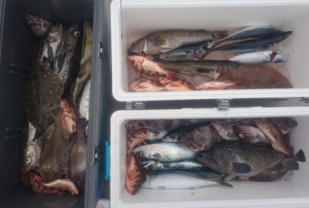 気仙沼 つり丸 釣果