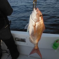 開進丸 釣果