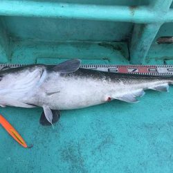 広進丸 釣果
