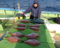 久里浜黒川本家 釣果