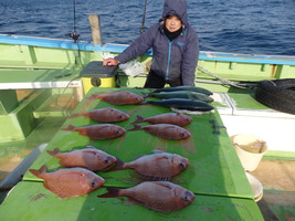 久里浜黒川本家 釣果