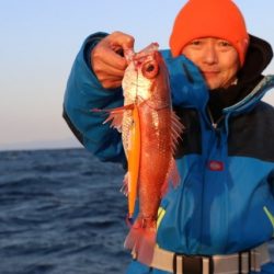 へいみつ丸 釣果