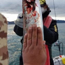 遊漁船　ニライカナイ 釣果