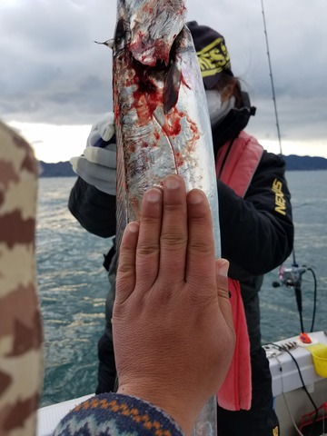 遊漁船　ニライカナイ 釣果