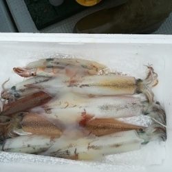 IDATEN(イダテン) 釣果