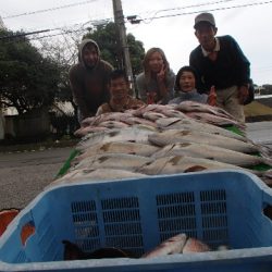カタタのつり堀 釣果