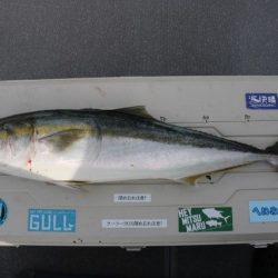 へいみつ丸 釣果