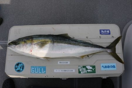 へいみつ丸 釣果