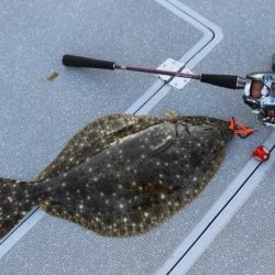 へいみつ丸 釣果