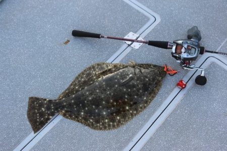 へいみつ丸 釣果