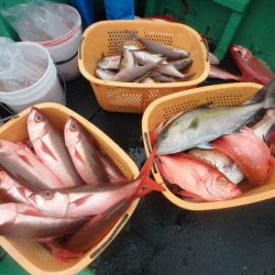 フィッシングハウス伊藤 釣果