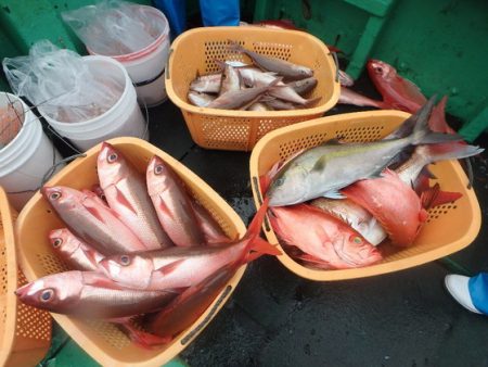 フィッシングハウス伊藤 釣果