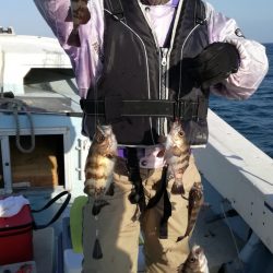 リトルワン 釣果