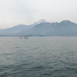 リトルワン 釣果