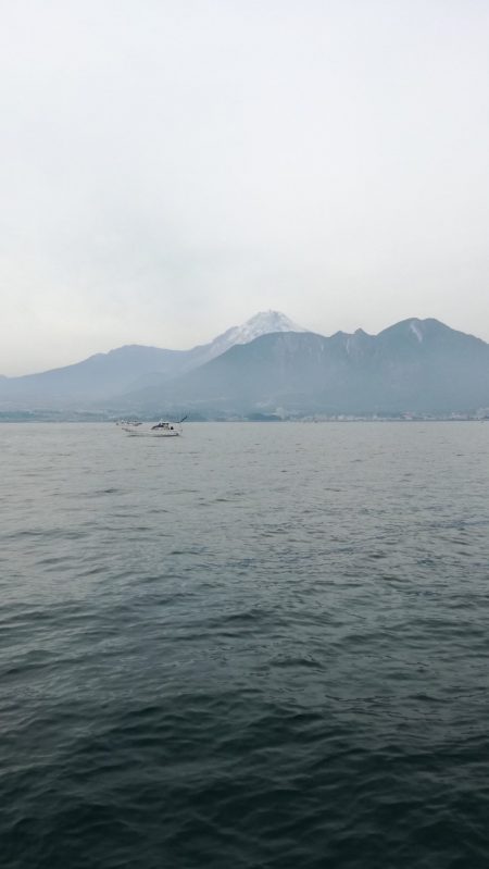 リトルワン 釣果