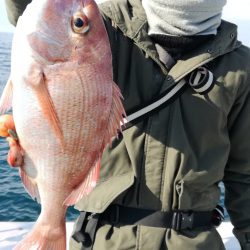 リトルワン 釣果