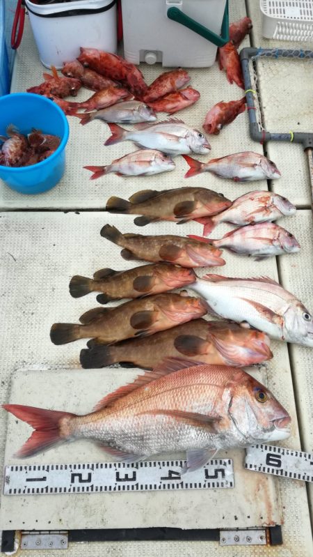 リトルワン 釣果