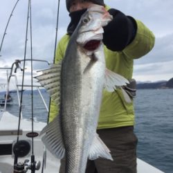 シーモンキー 釣果