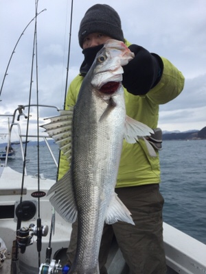 シーモンキー 釣果