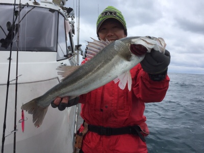 シーモンキー 釣果