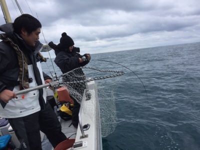 シーモンキー 釣果