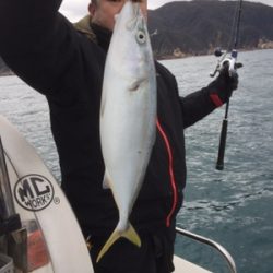 シーモンキー 釣果