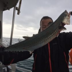 シーモンキー 釣果