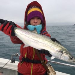 シーモンキー 釣果