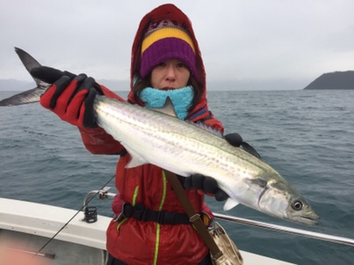 シーモンキー 釣果