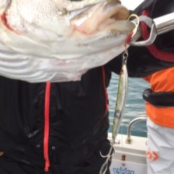 シーモンキー 釣果