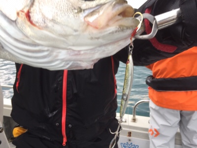 シーモンキー 釣果