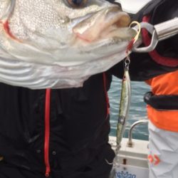 シーモンキー 釣果