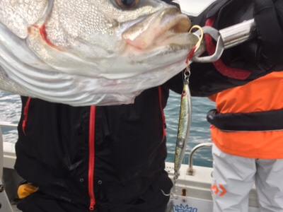 シーモンキー 釣果