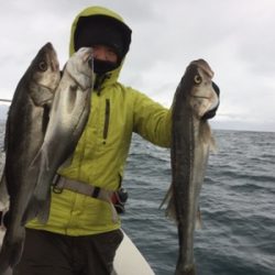 シーモンキー 釣果