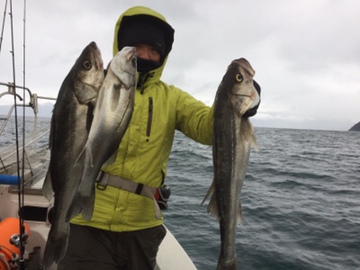 シーモンキー 釣果