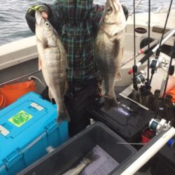 シーモンキー 釣果