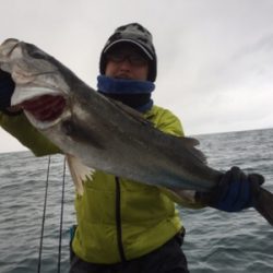 シーモンキー 釣果