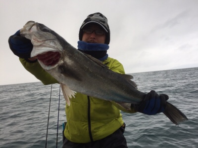 シーモンキー 釣果