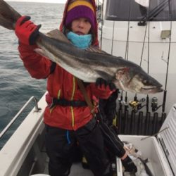 シーモンキー 釣果