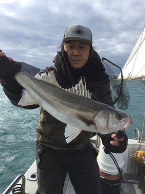 シーモンキー 釣果