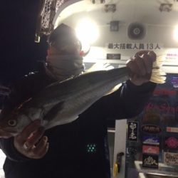 シーモンキー 釣果