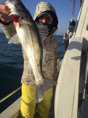 シーモンキー 釣果