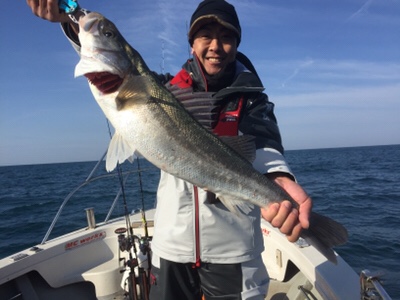 シーモンキー 釣果