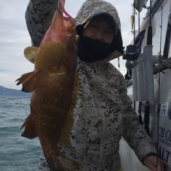 シーモンキー 釣果